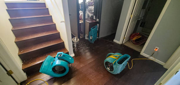 Best 24-hour water damage restoration  in Atlanta, TX