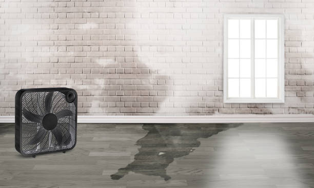 Best Water damage restoration near me  in Atlanta, TX
