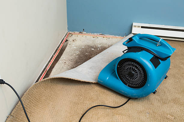 Sewage cleanup and water damage restoration in Atlanta, TX